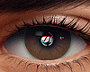 金 Hazelnut Eyes