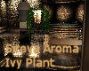 Sireva Aroma Ivy Plant 