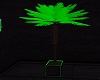 Neon Lime Palm Tree