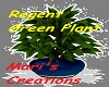 [MS] Regent Green Plant1