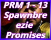Spawnbre ezie Promisess