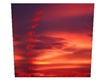 Red Sunset Poster/Bkdrop