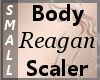 Body Scaler Reagan S