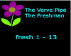 The Freshman-Verve Pipe