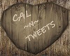 Cal  N Tweets Stump