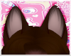 T|Fox Ears Chocolate