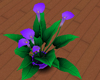 [DML] Purple calla lily