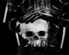 [Exo] Skull In Hand