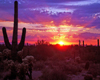 Sunrise Arizona