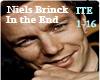 Niels Brinck- In the End