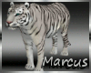 [MA] Be A White Tiger