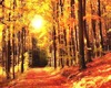 Fall Giant Frame