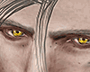 武 Geralt Eyes (Asteri)