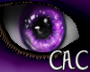 [C.A.C] Higgle Fe Eyes