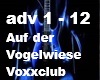 Voxxclub