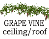 grape vines for rack