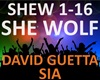 𝄞 David Guetta Sia