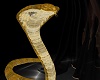 Royal Cobra Gold PET