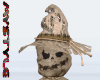 Scarecrow Halloween F