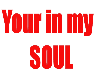 YOUR IN MY SOUL -STICKER