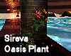 Sireva Oasis Plant 