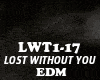 EDM-LOST WITHOUT YOU