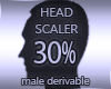 Head Scaler 30%