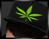 MALE 420 LEAF HAT