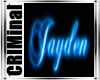 Jayden Neon Flashing sig