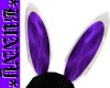 k~ ANIMATED Bunny Ears