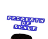 Property Of Skyee Sign