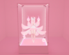 SL | Pink Box PhotoRoom