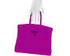 SC Pink Birkin Handbag