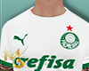 DK Shirt Palmeiras 🐉