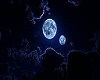 Moonlight Scenery