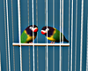 ♡ Birds In Cage