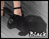 BLACK bunny F