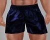 ~CR~Muscled Navy Shorts