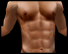 IO-Skin (muscle body)