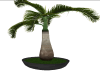 AS Potted Palm Tree