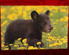 Bear Cub In Flowers