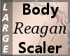 Body Scaler Reagan L
