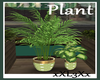 *L3* Plants