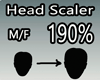 Scaler Head 190% M/F