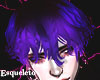 Purple Dix Hair