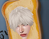 toast 01