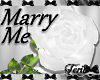 White "Marry Me" Rose