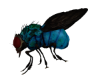 The Fly  blue