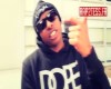 sultan petit frelon