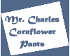 (IZ) Cornflower Pants